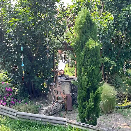 Le Patio